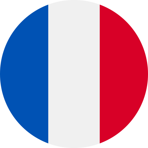 /language_icons/fr